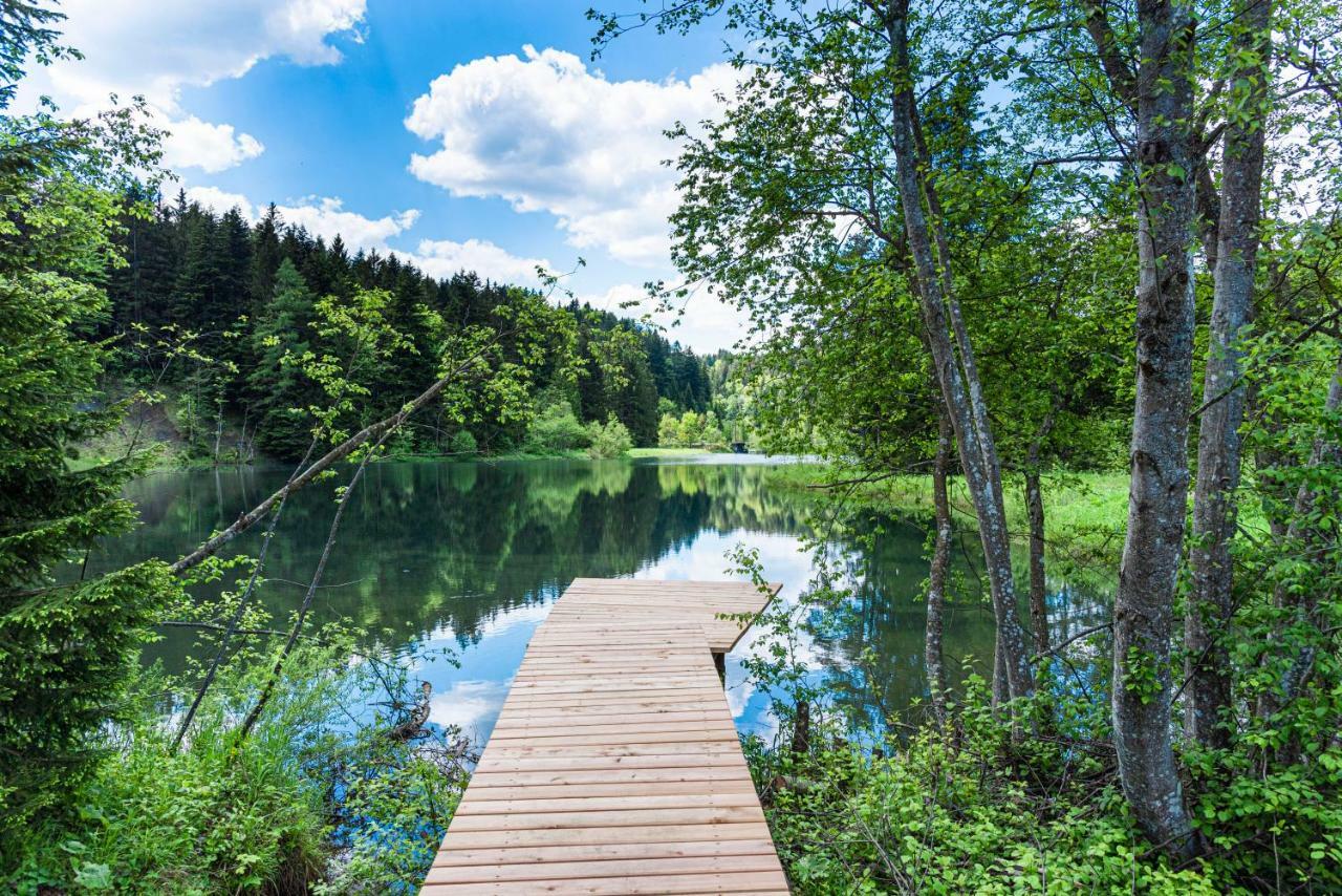 Ferienhaus Am See Mit Sauna Und Whirlpool Villa Wienerbruck Esterno foto