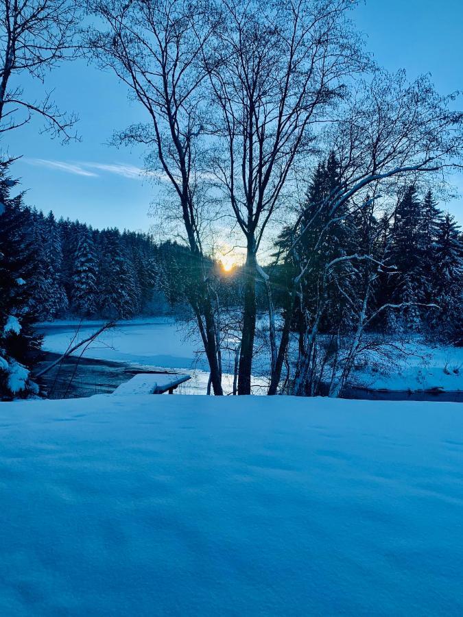 Ferienhaus Am See Mit Sauna Und Whirlpool Villa Wienerbruck Esterno foto