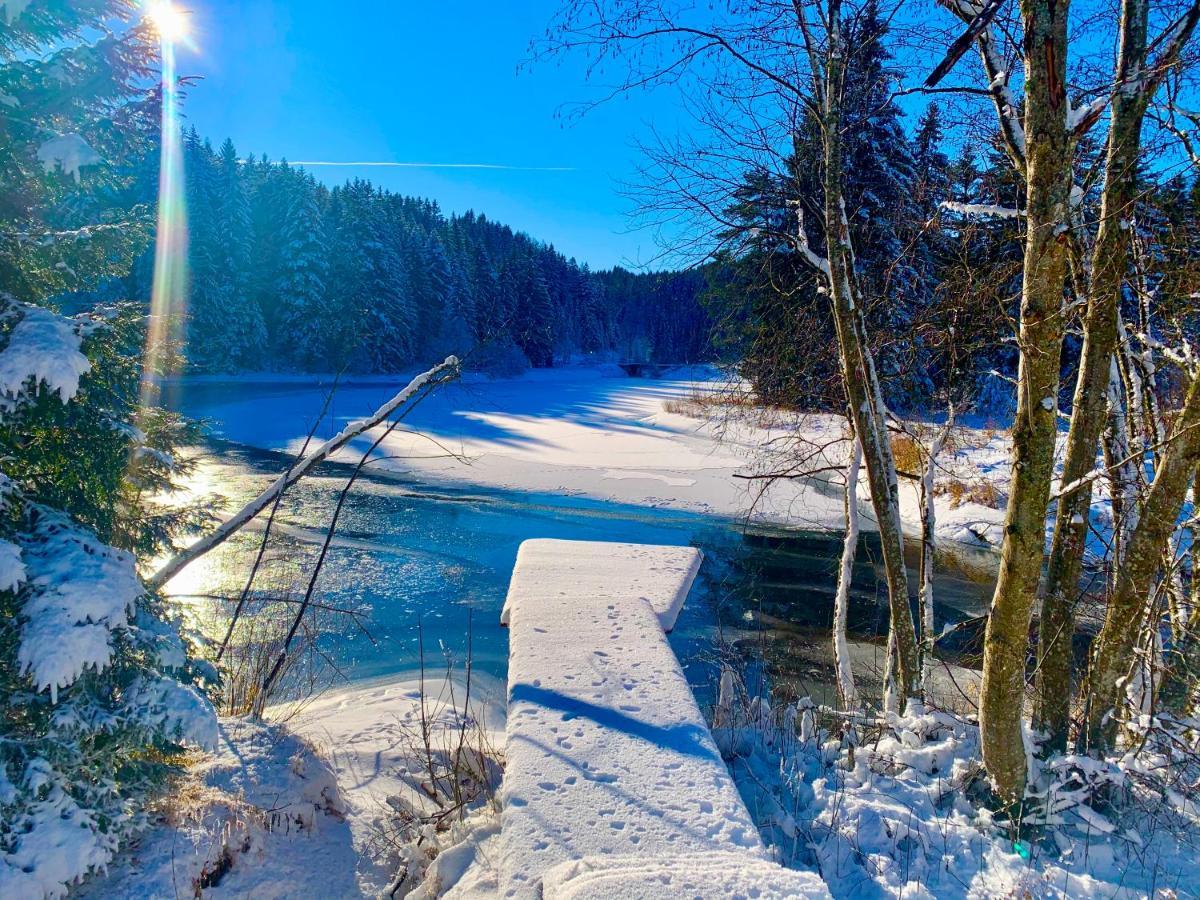 Ferienhaus Am See Mit Sauna Und Whirlpool Villa Wienerbruck Esterno foto